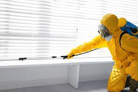 Best Termite Inspection and Treatment  in Racend, LA